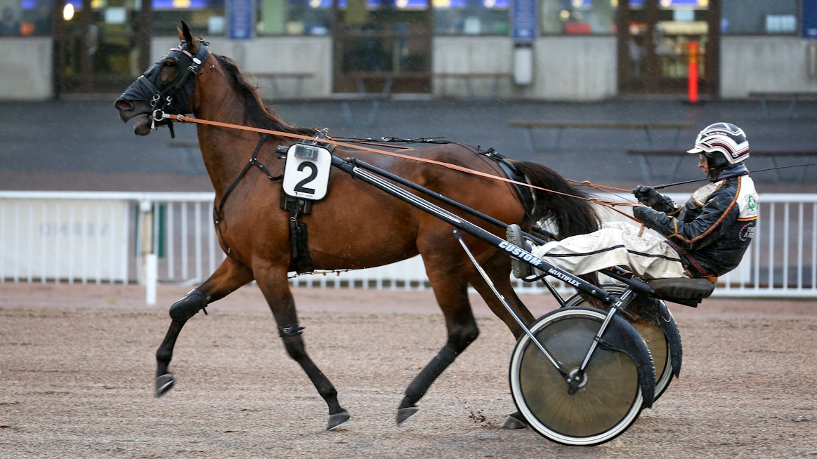 Hanna Lepistön valmentama Dragon’s Eye osallistui Seppo Markkulan ohjastamana viime vuoden derbykarsintoihin Vermossa.