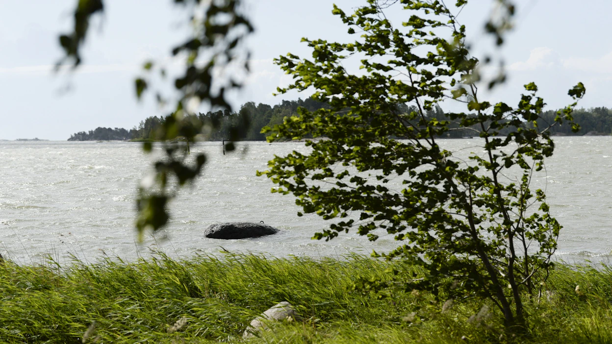 Maanantai-iltana helle saa seurakseen raivokasta ukkosta ja sadetta. Rajuilma riepottelee lähes koko eteläistä Suomea. LEHTIKUVA / Mikko Stig.