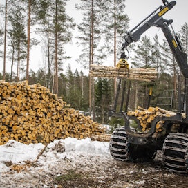 Metsäteollisuus on ostanut yksityismetsistä puuta alkuvuonna noin kolmanneksen enemmän kuin viime vuonna tähän aikaan.