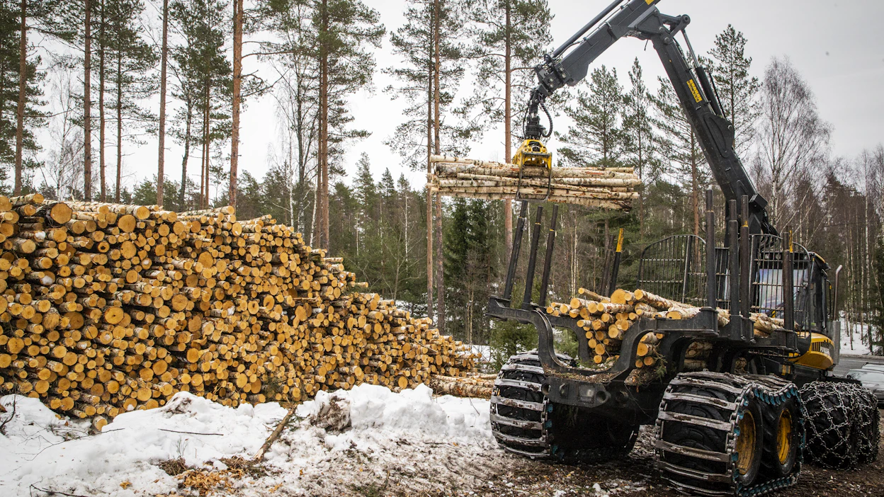 Metsäteollisuus on ostanut yksityismetsistä puuta alkuvuonna noin kolmanneksen enemmän kuin viime vuonna tähän aikaan.