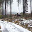 Lappeenrannan kupeeseen vuonna 2020 rakennettu villisika-aitaus pyyntiä varten. Kuvituskuva.