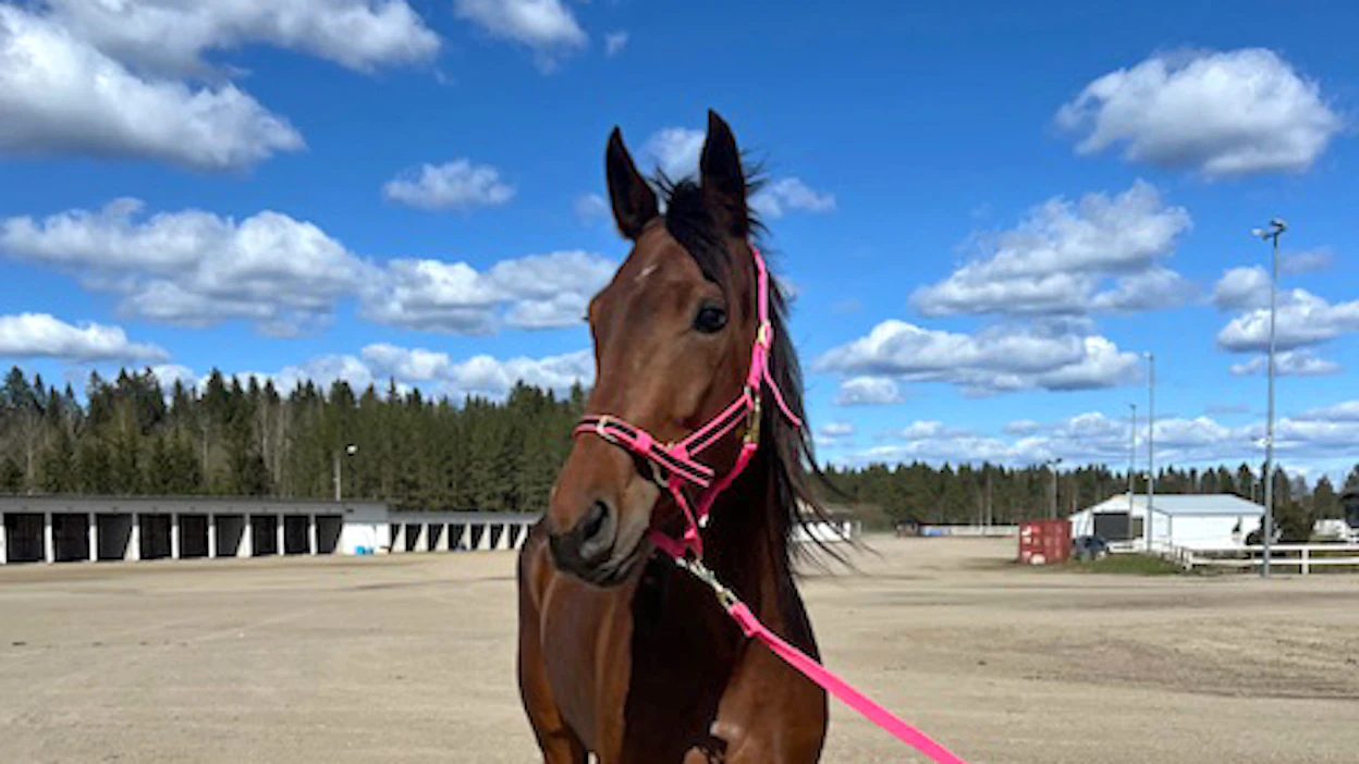 Jaqueline Sisu tavoittelee menestystä lauantain Pilvenmäki Specialissa.