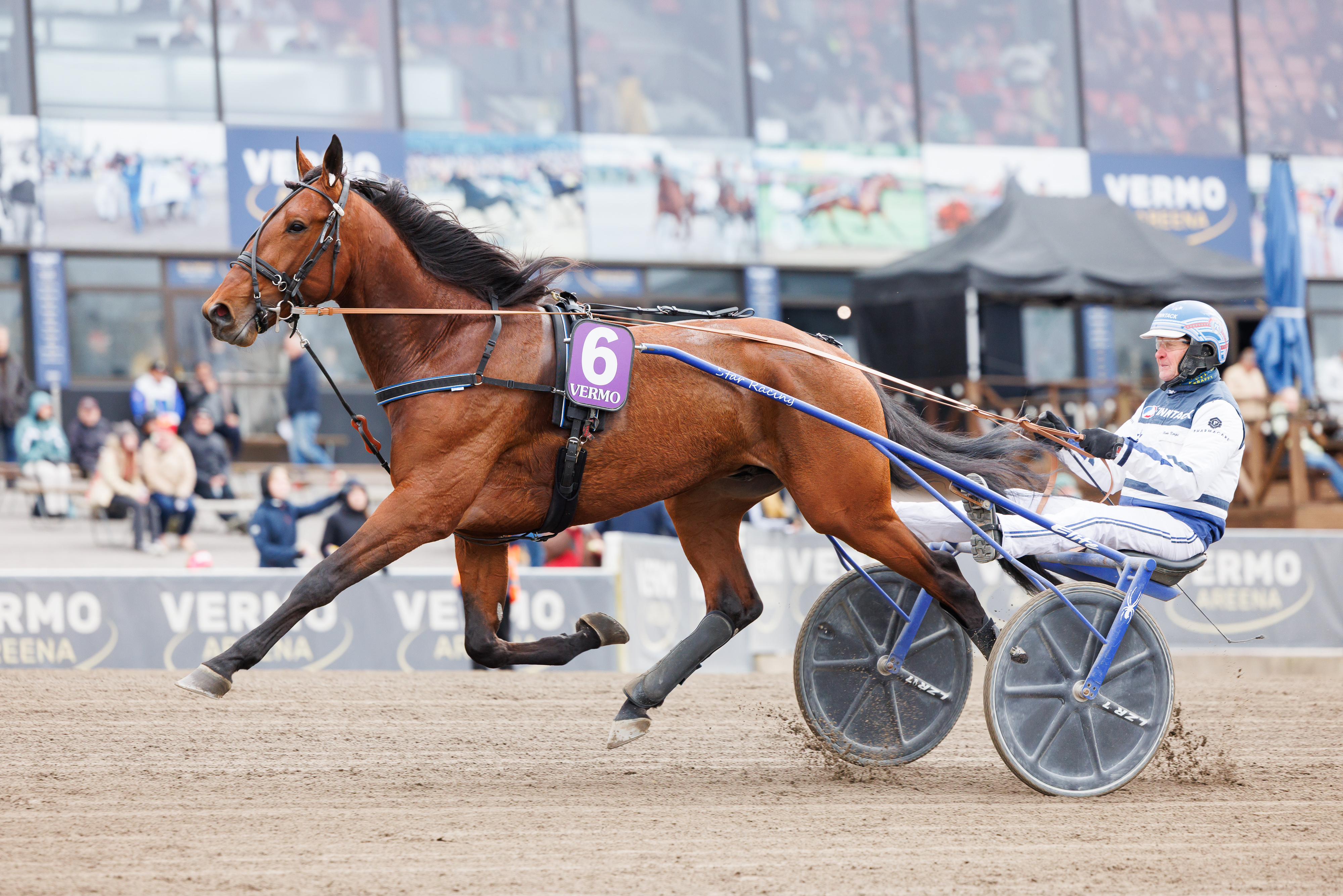 Pekka Korven Arctic Emerald on yksi Kuopio Stakesin suosikeista.