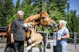 Varsaonnea. Kimmo Ikonen ja Kymberly McCaslin-Reed tamma Häyrilän Milanon ja sen kahden viikon ikäisen tammavarsan Chevillän kanssa.