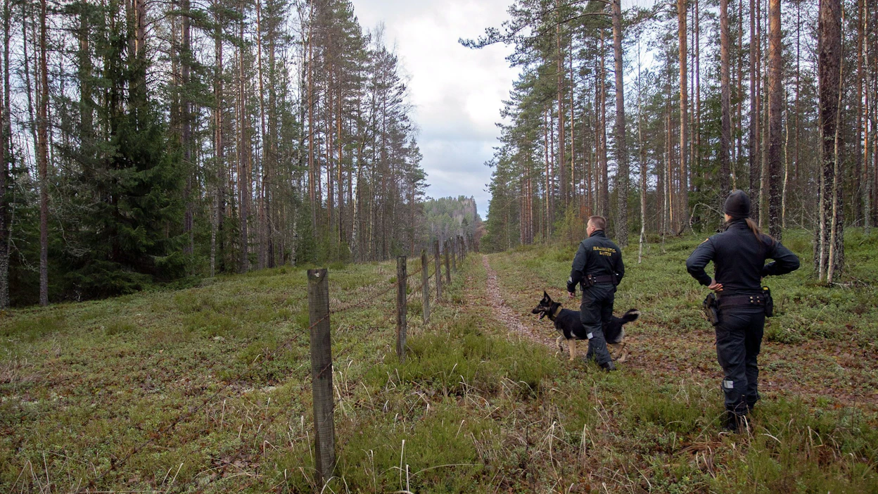Rajavartiolaitos tehostaa rajavalvontaa Suomen sisä- ja ulkorajoilla, kertoo valtioneuvosto. LEHTIKUVA.