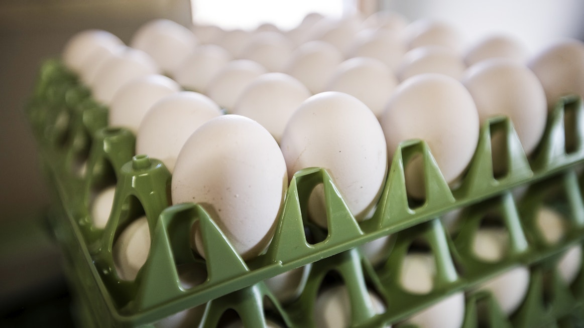Suomalaisen kananmunan salmonellattomuus herättää Etelä-Koreassa ihmetystä.