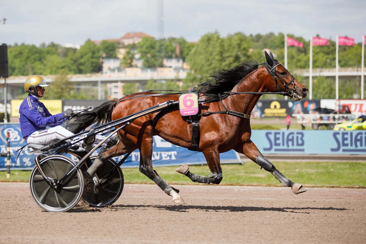 Björn Goopin tähtiravuri San Moteur on yksi sunnuntain Prix de Bretagnen kovanaamoista.
