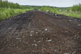 Metsitystukea saa joutomaiden, kuten peltoheittojen ja entisten turvetuotantoalueiden metsittämiseen.