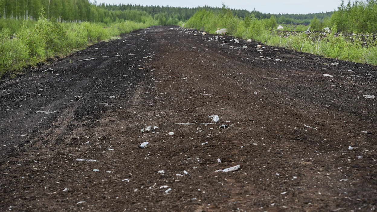Metsitystukea saa joutomaiden, kuten peltoheittojen ja entisten turvetuotantoalueiden metsittämiseen.