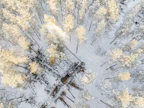 Tornator teki viime vuonna puukaupoilla ennätystilin.