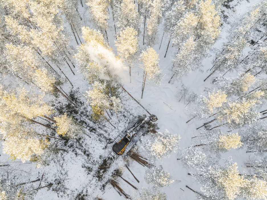 Tornator teki viime vuonna puukaupoilla ennätystilin.