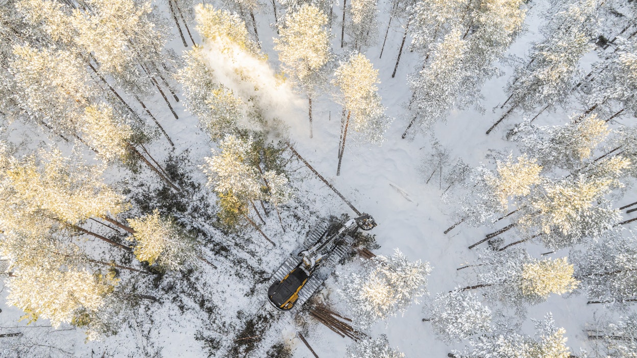 Tornator teki viime vuonna puukaupoilla ennätystilin.