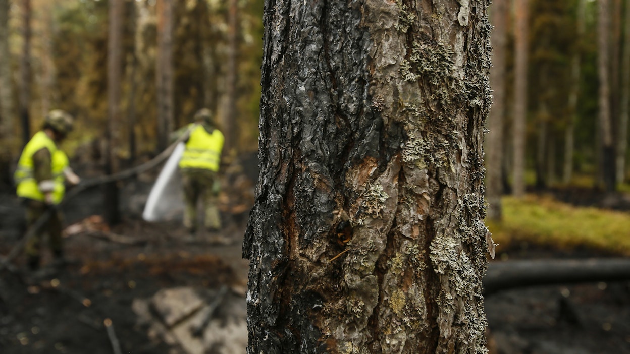 Metsäpalon sammutustöitä Pyhärannassa.