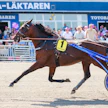 Staro Mack Crowe ja Jorma Kontio valmistautumassa Sweden Cupin karsintaan Solvallassa. Kisassa Staro Mack Crowe otti lähtölaukan.