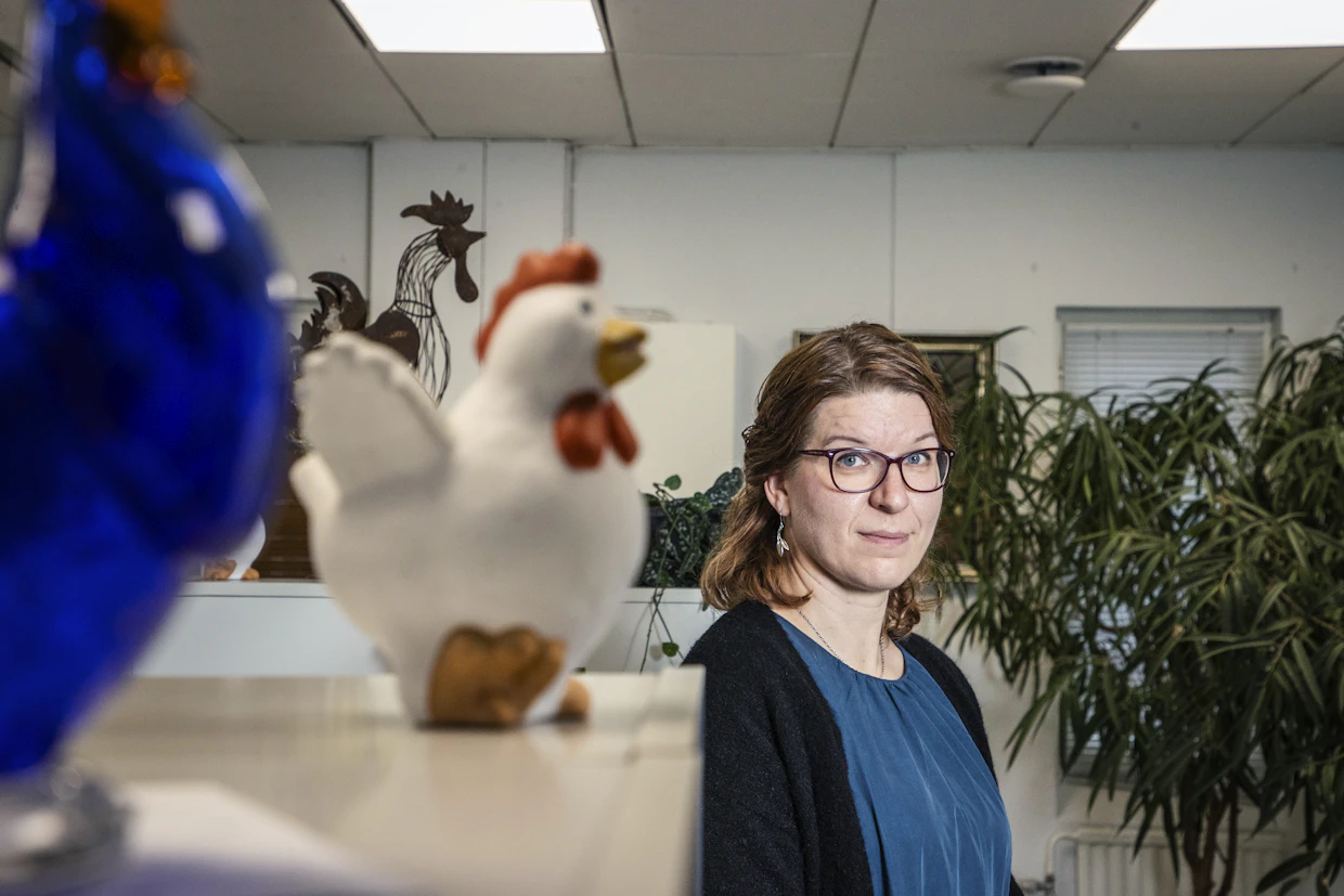 Siipikarjaliiton toiminnanjohtaja Veera Lehtilä muistuttaa salmonellan olevan yleinen bakteeri, josta tuskin koskaan päästään eroon. Arkistokuva