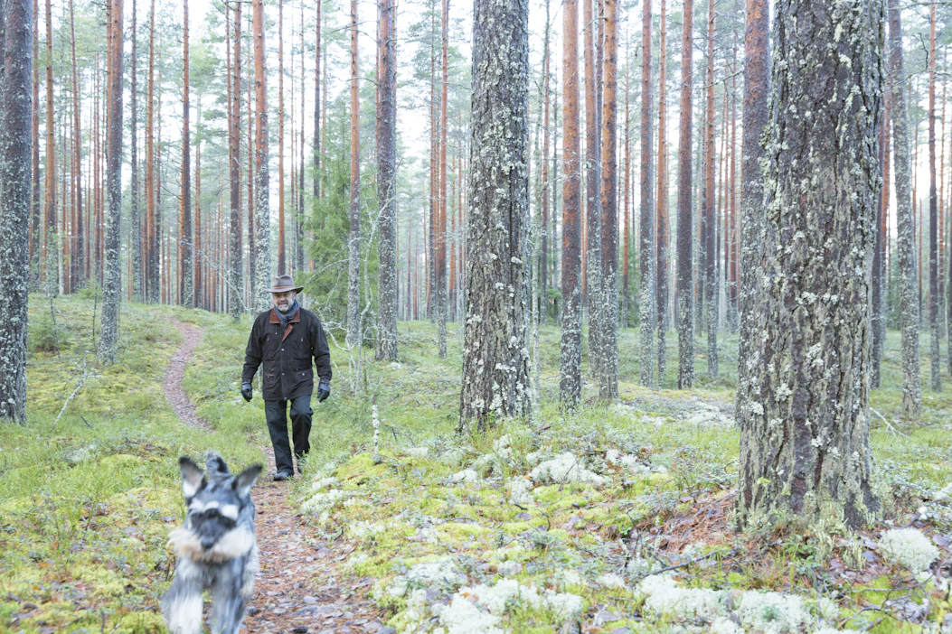 Yritysjohtajana tunnettu Ilkka Brotherus on hankkinut 2020-luvulla lähes 1 500 hehtaaria lisää metsämaata.