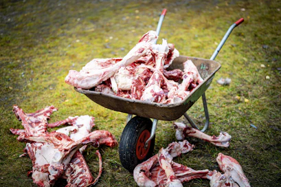 Kuvassa hirvenluita, jotka ovat koirien herkkua. Olisiko niistä myös ihmisravinnoksi?