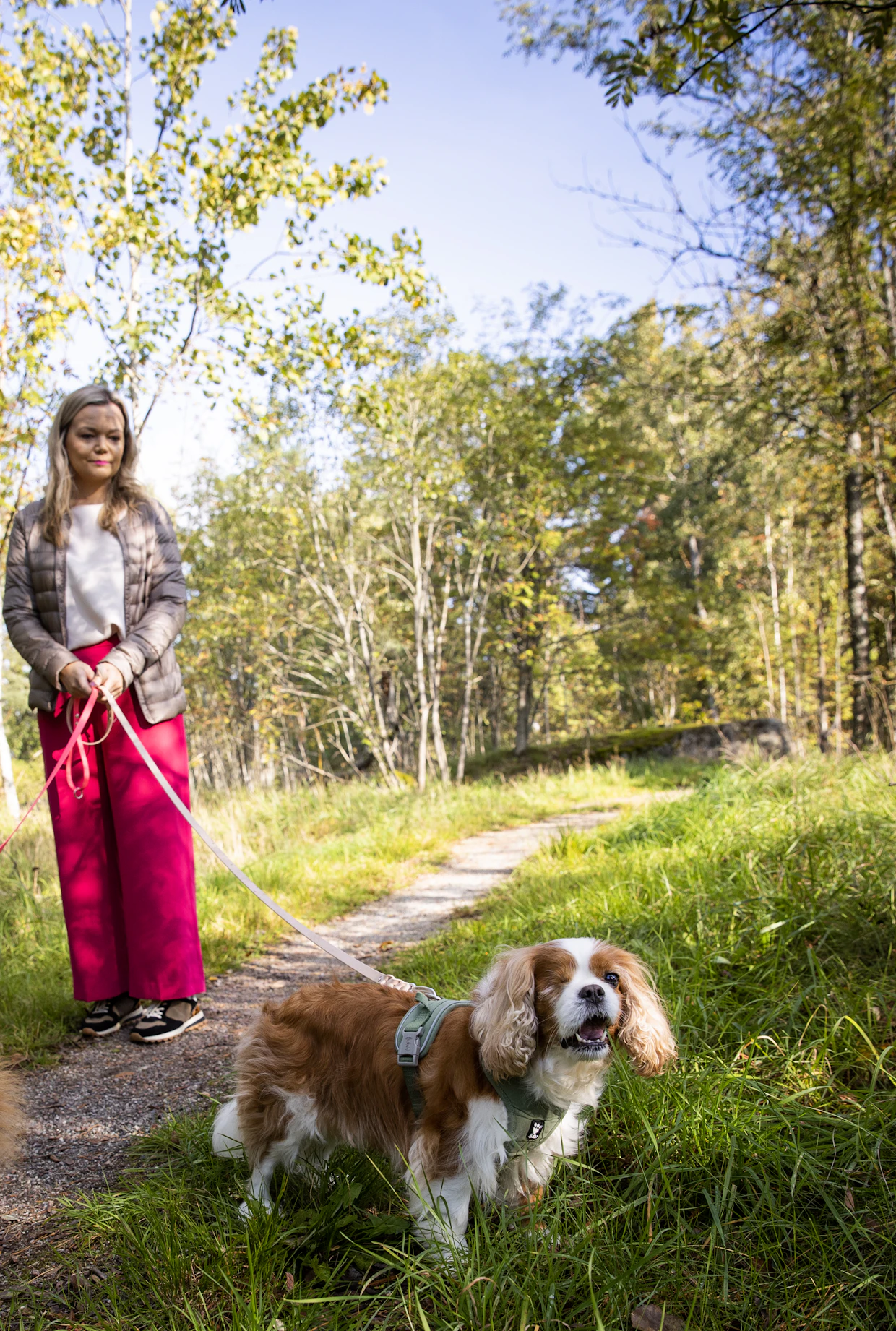 Kaipaus luonnon ja meren äärelle on jatkuva. Maaseudun elinkeinoihin Lehtonen on saanut kosketuspintaa miehensä isän kautta, jolla on luomuviljelystila Orimattilassa.