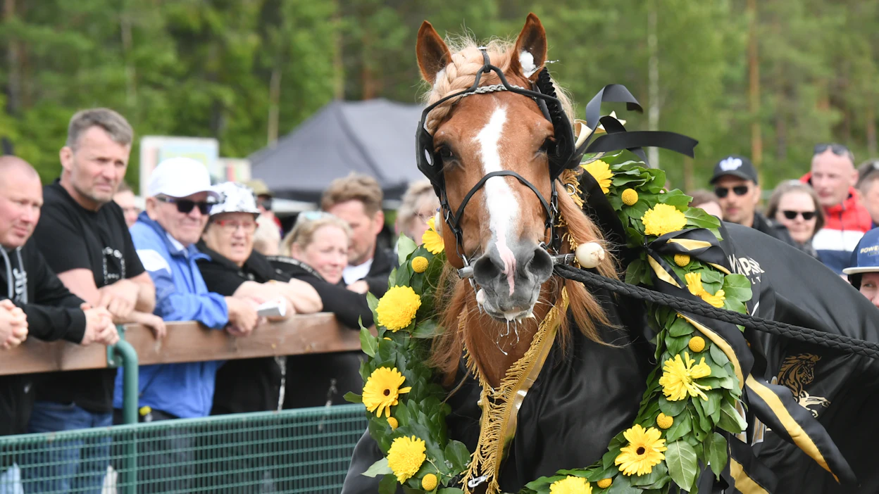 H.V. Tuurin uran suurin täysosuma on viime vuoden Nordic Kingin ykkönen. Oriin on määrä puolustaa voittoaan Härmässä.