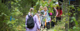 Metsäsäätiö jättihanke tarjoaa kaikille kuutosluokkalaisille metsäkokemuksen.