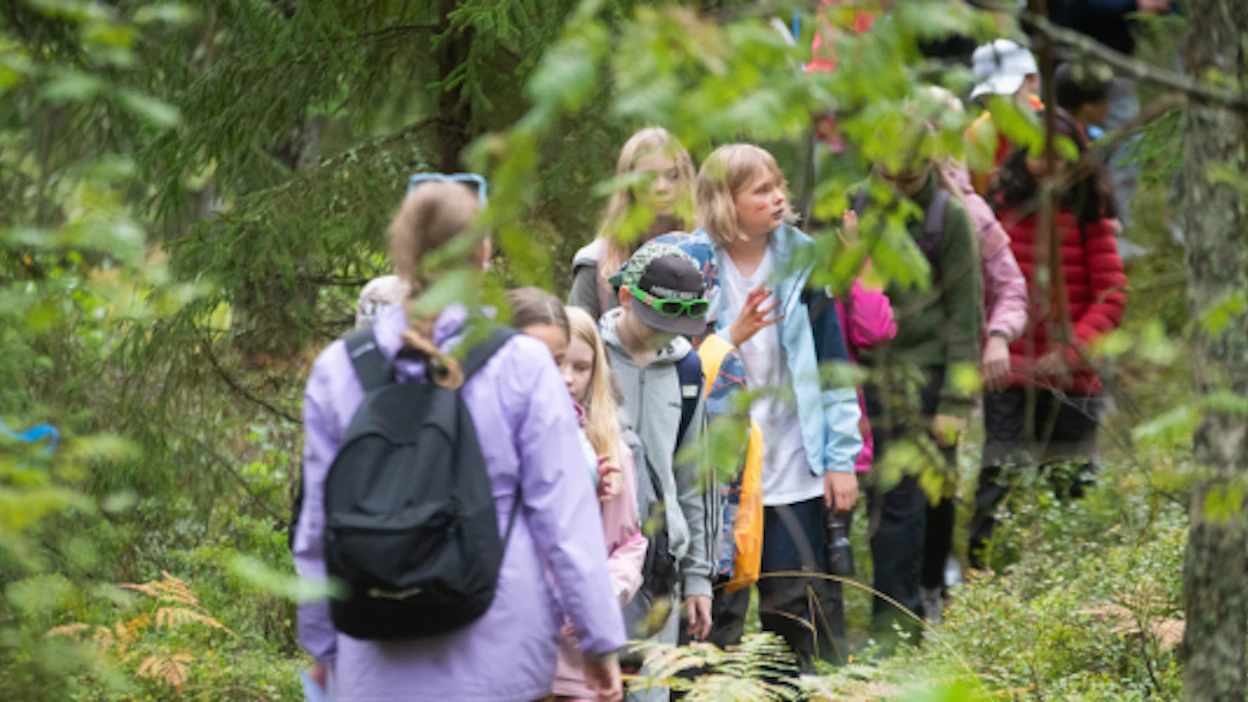 Metsäsäätiö jättihanke tarjoaa kaikille kuutosluokkalaisille metsäkokemuksen.