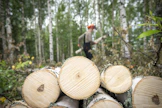 Lähes kolmannes nykyisistä metsätyöntekijöistä ja kuljettajista eläköityy vuoteen 2030 mennessä.