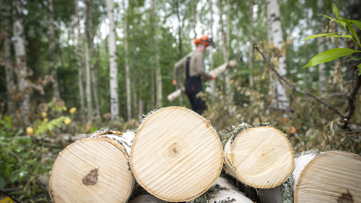 Lähes kolmannes nykyisistä metsätyöntekijöistä ja kuljettajista eläköityy vuoteen 2030 mennessä.