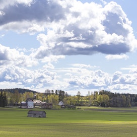 Rauno Lämsän mielestä uutta aluepolitiikkaa tarvitaan, koska muun muassa ruuan ja uusiutuvan energian tuottamisessa maaseudun merkitys kasvaa.