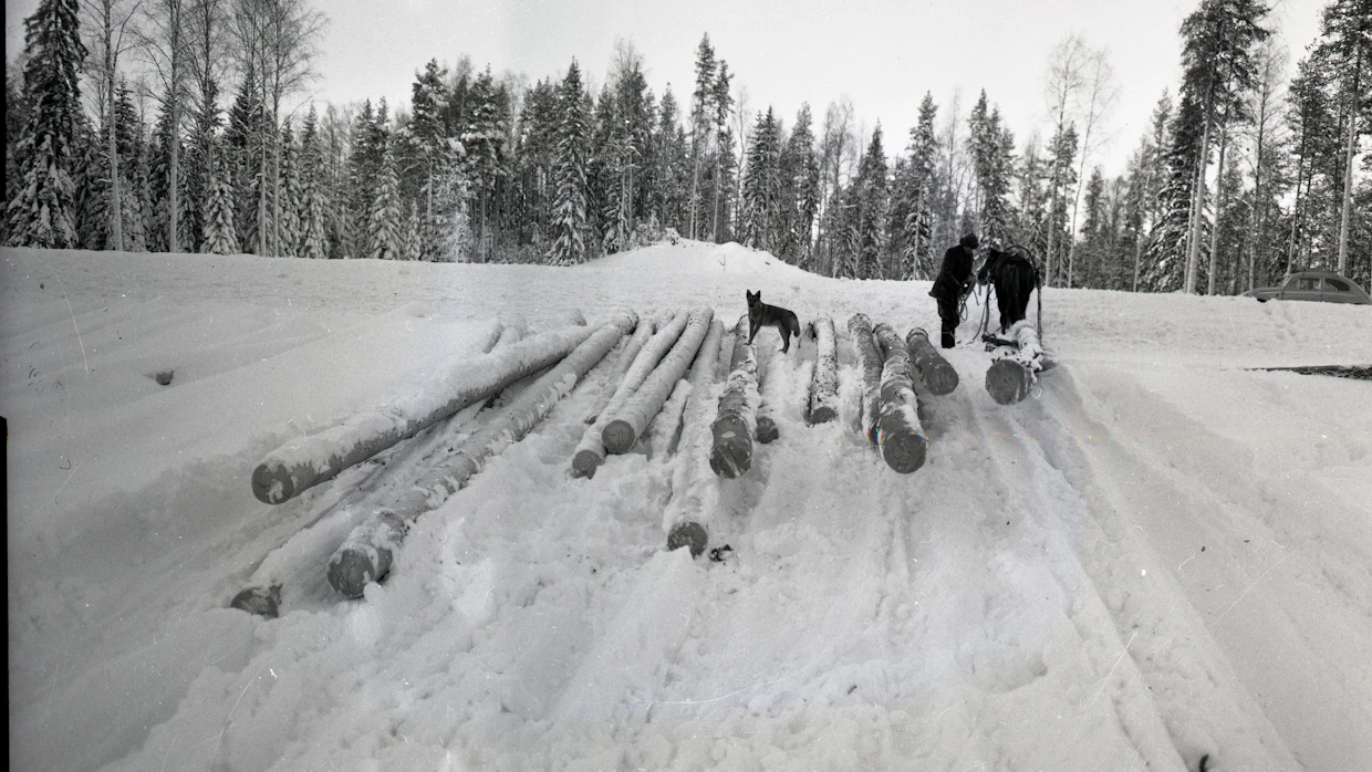 Vuonna 1963 havutukista ja mäntykuidusta maksettiin pystykaupoilla reaalisesti jokseenkin nykyisiä hintoja. Kuusikuidun hinta oli korkeampi, koivuhalon hinta puolestaan kehnompi kuin nykyisen koivukuidun.