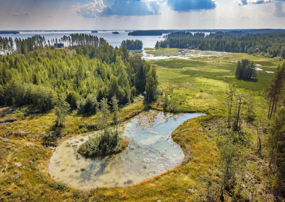 Metsien virkistysmahdollisuuksissa on myös yritystoiminnan mahdollisuuksia. Mika Nevalaisen omistama metsämatkailuyritys tarjoaa metsään liittyviä matkailu- ja virkistyspalveluita Outokummussa. Kuvituskuva.