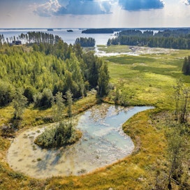 Metsien virkistysmahdollisuuksissa on myös yritystoiminnan mahdollisuuksia. Mika Nevalaisen omistama metsämatkailuyritys tarjoaa metsään liittyviä matkailu- ja virkistyspalveluita Outokummussa. Kuvituskuva.