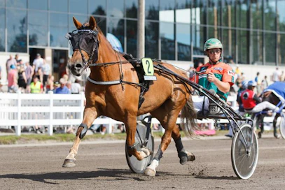 Aika kauden avausvoiton, Hetviina! Antti Tupamäen luotsaama monipuolinen ja lujavireinen tamma selvittää pitkän matkan ja tarpeen vaatiessa raskaammankin reissun.