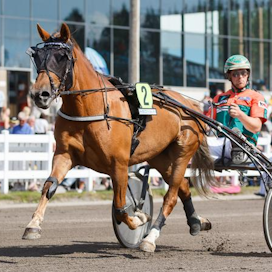 Antti Tupamäen valmentama Hetviina starttaa Toto65-pelin viidennessä kohteessa. Santtu Raitala ohjastaa hevosta ensimmäistä kertaa.