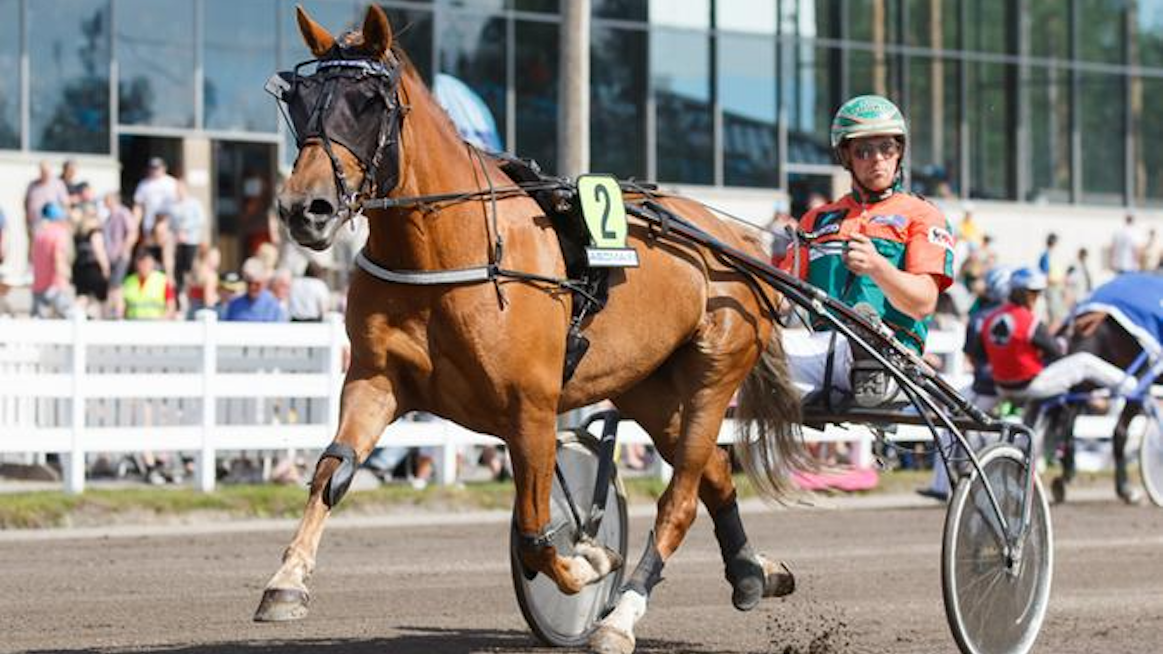 Aika kauden avausvoiton, Hetviina! Antti Tupamäen luotsaama monipuolinen ja lujavireinen tamma selvittää pitkän matkan ja tarpeen vaatiessa raskaammankin reissun.