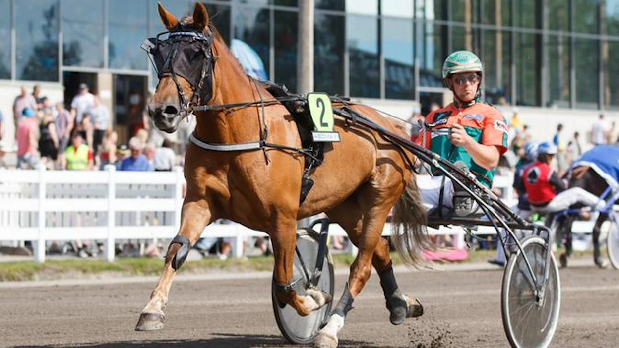 Aika kauden avausvoiton, Hetviina! Antti Tupamäen luotsaama monipuolinen ja lujavireinen tamma selvittää pitkän matkan ja tarpeen vaatiessa raskaammankin reissun.