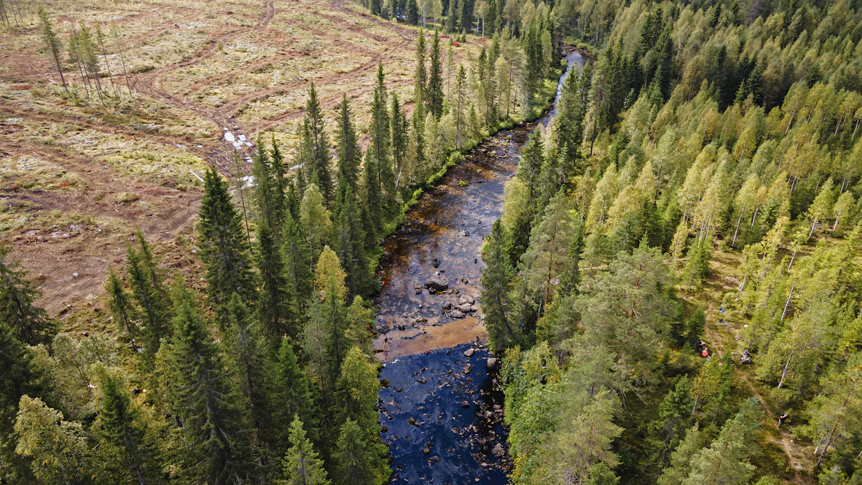 Raakkujen yli ajettiin metsäkoneilla jopa satoja kertoja Suomussalmen Hukkajoella. Tapaus paljastui elokuun puolivälissä, kun paikalle sattuneet tutkijat näkivät koneet työssään.