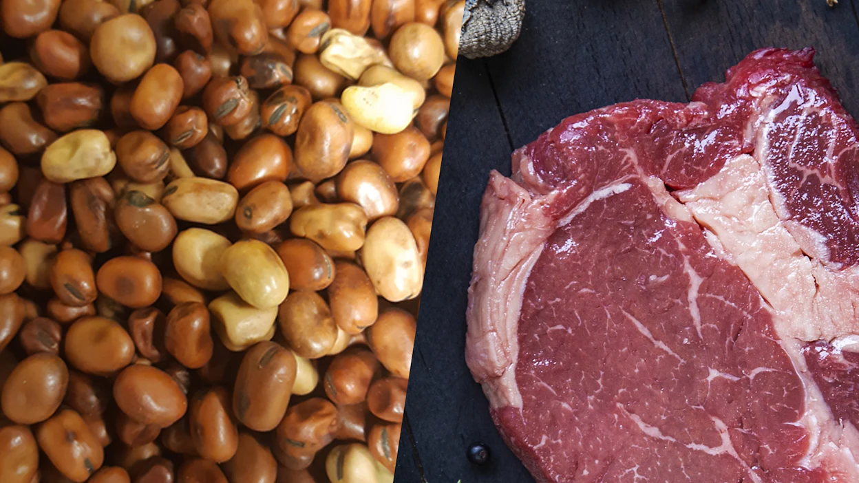 Suurin osa maailman maista turvautuu ruokatuontiin ruokkiakseen väestönsä.