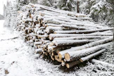 Jos metsänomistaja pettyy puukauppaan, syynä on yleensä joko heikko korjuujälki tai se, että puukauppatulo jäi pienemmäksi kuin hän odotti.