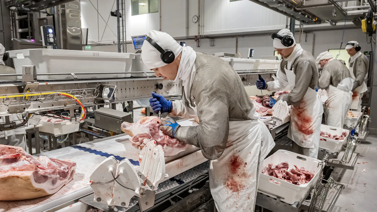 Atrian Nurmon tuotantolaitoksella sianlihaa leikkaamassa Jarno Papinaho, Antti-Jussi Kuoppala, Marko Saranpää ja Aki Yli-Kortesniemi. Kuva on helmikuulta 2025.