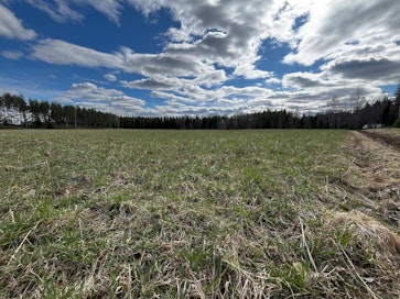 Selvityspyyntöjen viimeinen vastauspäivä on 7. päivä toukokuuta.