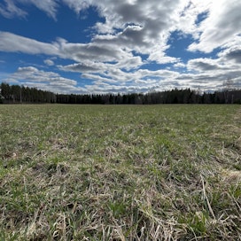 Selvityspyyntöjen viimeinen vastauspäivä on 7. päivä toukokuuta.