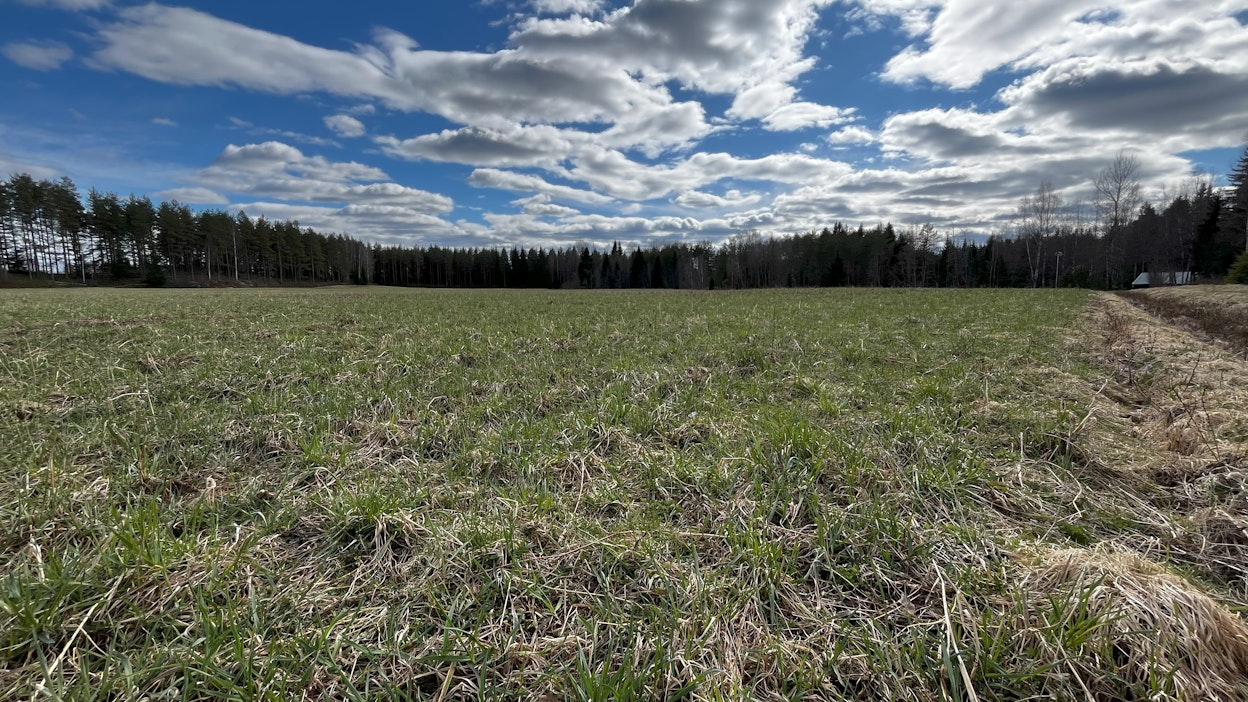 Selvityspyyntöjen viimeinen vastauspäivä on 7. päivä toukokuuta.
