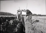 Suuri osa Suomen salaojista on tehty 1960-1980 -luvuilla. Vanha kuva Nurmijärven Nukarista salaojitustyöstä vuonna 1961. 