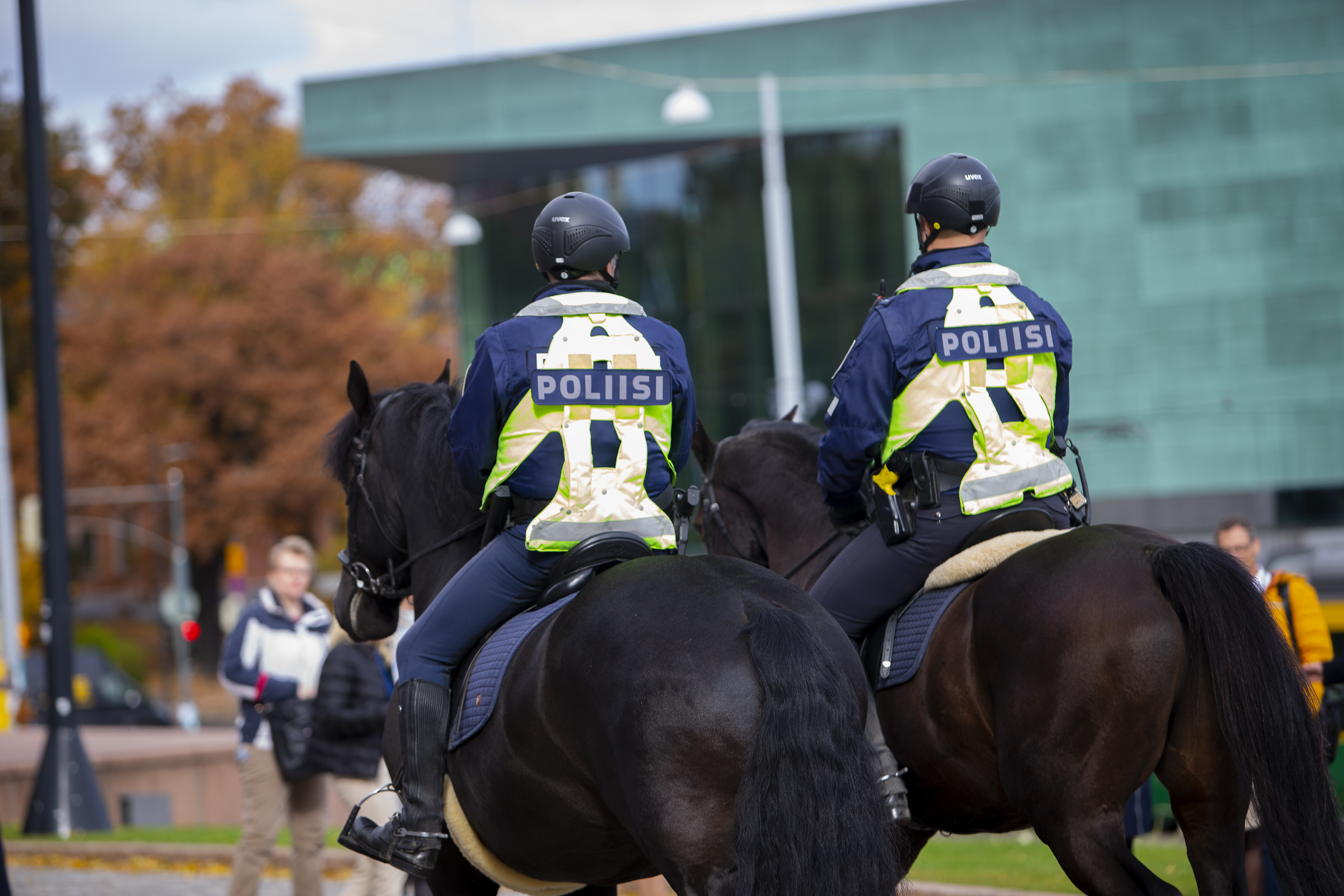 Helsingin Ratsupoliisi hakee riveihinsä uutta ruunaa. Kuvituskuva. 