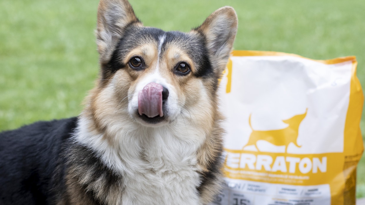 Kotimaisista raaka-aineista tehdyt Werraton-koiranruuat ovat Rovio Pet Foodsin suosituimpia tuotteita.