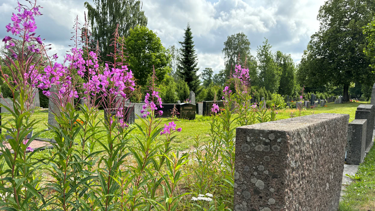 Mitään ei saa mukaan kuollessa. Vainaja jättää jälkeensä monessa tapauksessa kiinteän omaisuuden ja käteisvarallisuuden lisäksi myös osakkeita, rahastoja tai muita sijoituksia.