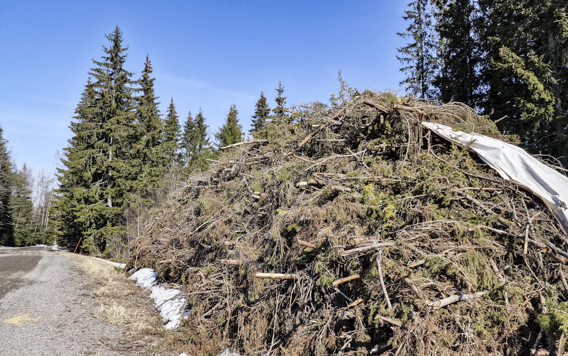 Energiapuun kauppoja kirjattiin 19 prosenttia vähemmän kuin vuosi sitten.