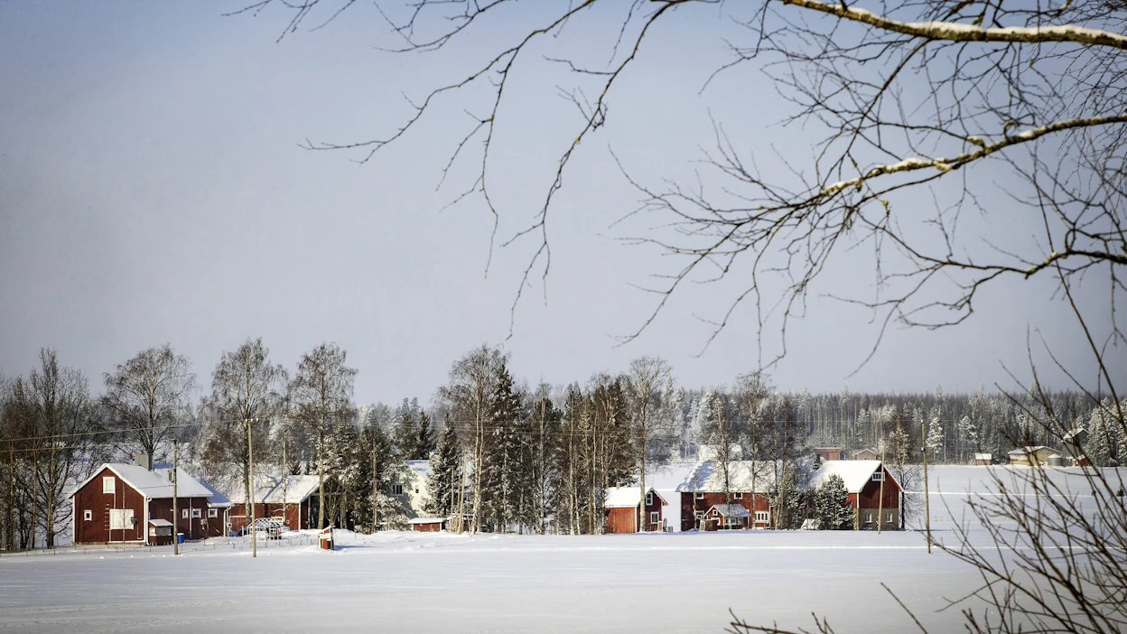 Kevättalvella koetaan todennäköisesti vielä rapsakoita pakkassäitä, arvioi Ilmatieteen laitoksen meteorologi Oskari Rockas.