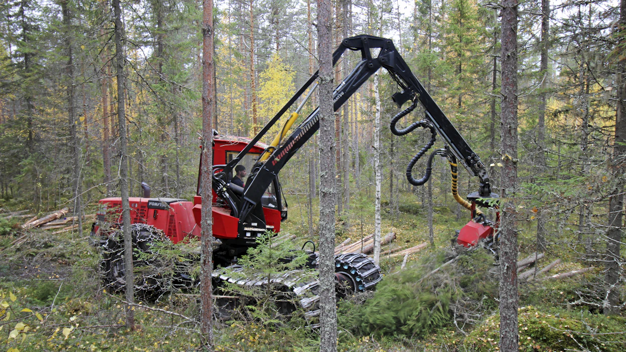 Yritysten tulee pystyä seuraamaan tuotteiden alkuperää koko arvoketjun ajan, mikä voi Metsäteollisuus ry:n mielestä olla hankalaa.