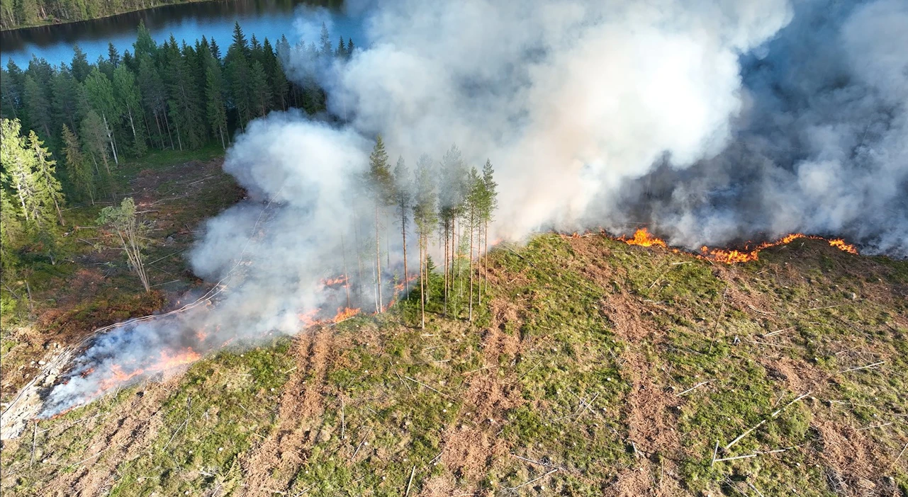 Metsäkeskus käsittelee uuden metka-tuen mukaiset kulotushakemukset ennen kulotuskauden alkua.